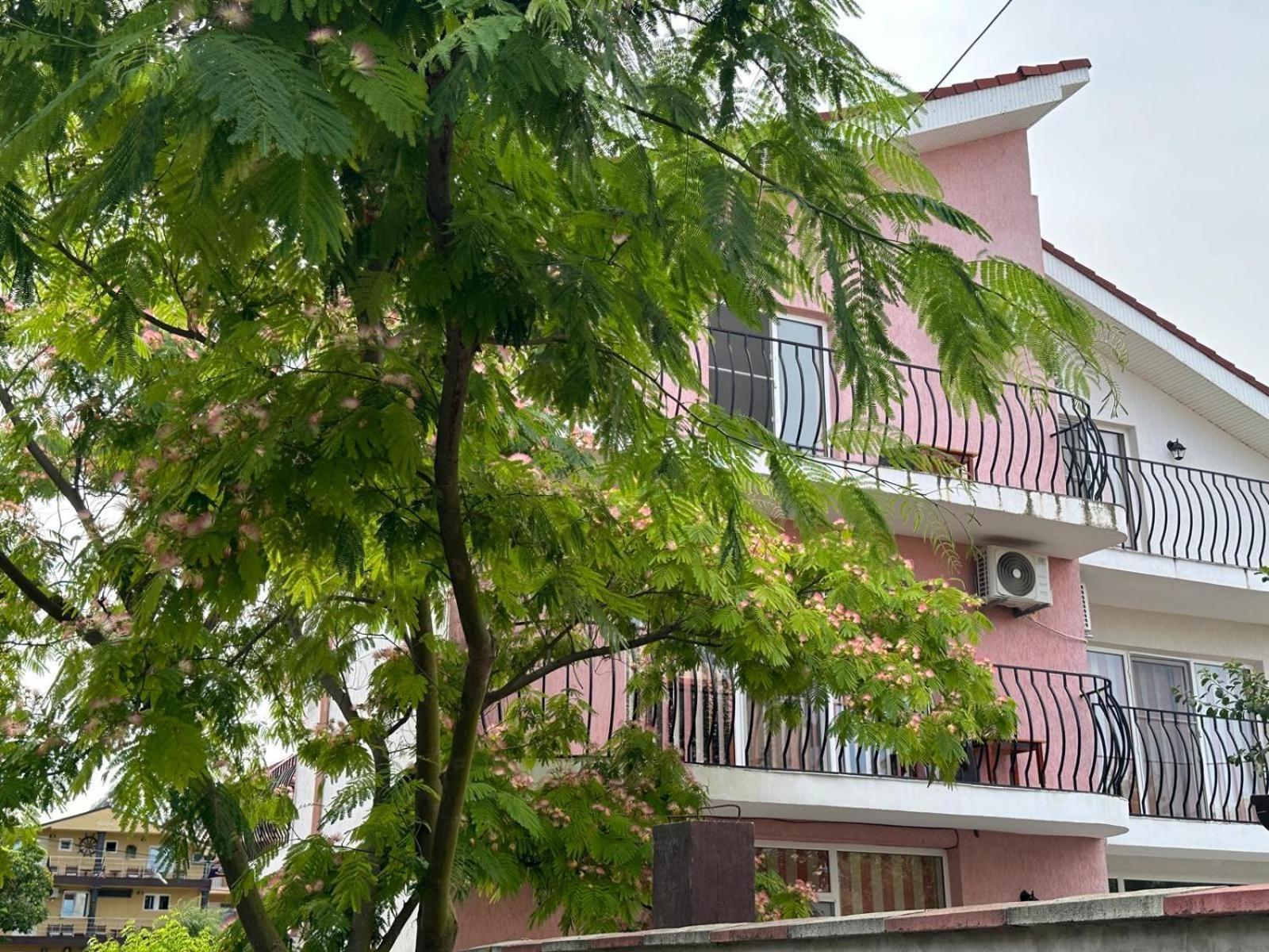 Vila Lucy Costinesti Hotel Екстериор снимка