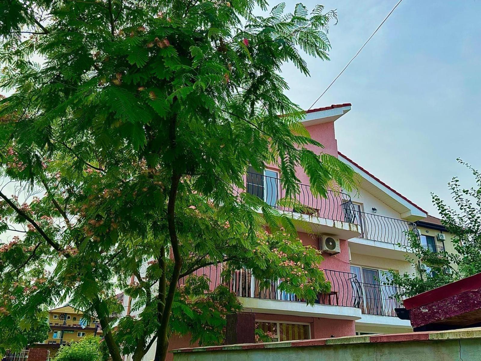 Vila Lucy Costinesti Hotel Екстериор снимка